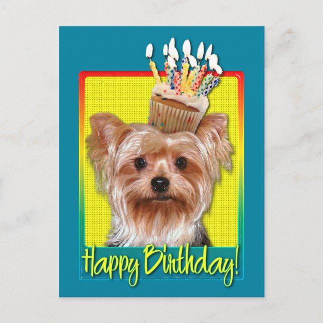Birthday Cupcake - Yorkshire Terrier Postkarte (Vorderseite)