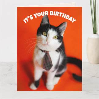 BIRTHDAY CUTE TIE CAT FRIEND GREETING CARD KARTE