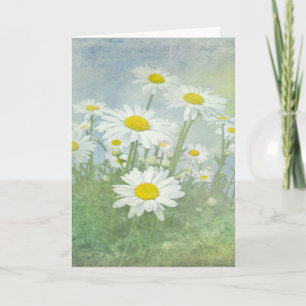 Birthday Daisy Field Karte