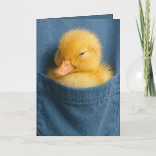 Birthday Duckling In a Blue T-shirt Pocket Karte (Vorderseite)