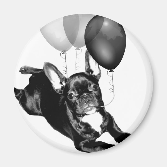 Birthday French Bulldog-Magnet Magnet (Vorne)