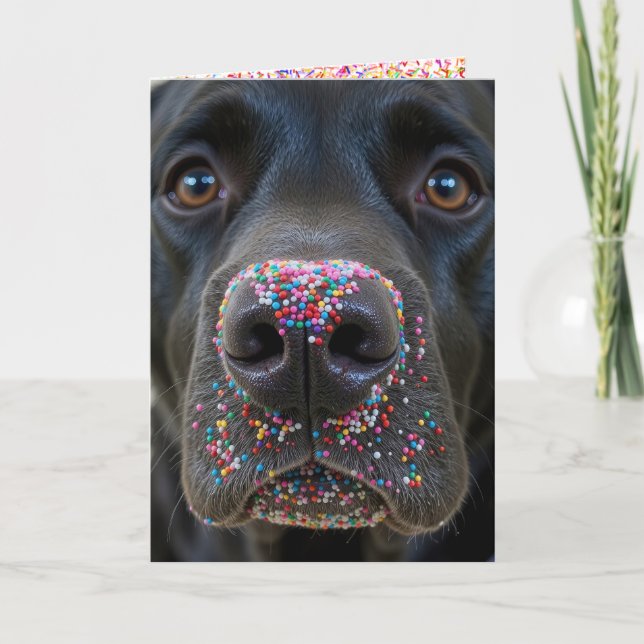 Birthday Fun Black Lab Hund mit Sprinklen Karte (Vorderseite)