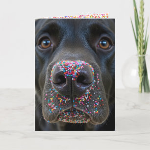 Birthday Fun Black Lab Hund mit Sprinklen Karte