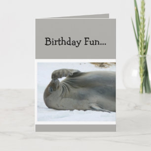 Birthday Fun Laughing Seal Age Humor Karte