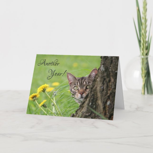 Birthday Funny Cat Tabby Nature individualisieren Karte (Vorderseite)