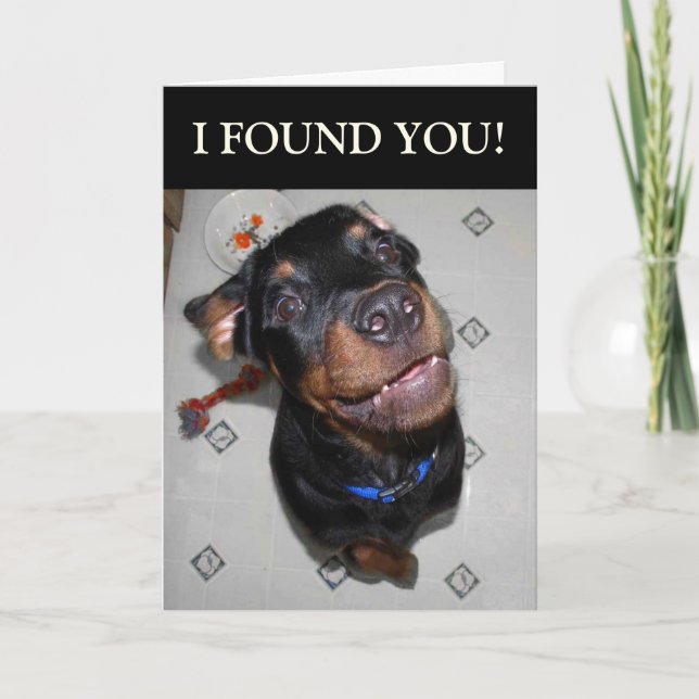 Birthday Girl Funny Rottweiler Card Karte (Vorderseite)