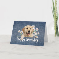 Birthday Golden Retriever auf Blue Denim