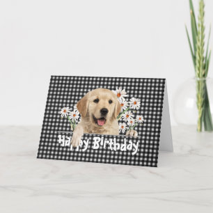 Birthday Golden Retriever auf Gingham Karte
