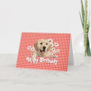 Birthday Golden Retriever auf Gingham Karte