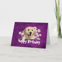 Birthday Golden Retriever auf Lila Leder
