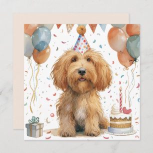 Birthday Goldendoodle Dog
