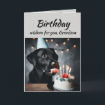 Birthday Grandson Fun Wisdom Labrador Dog Karte<br><div class="desc">Geburtstagsweisheit für Ihren Enkel vom niedlichen Labrador Retriever Dog Tier lecken den Kuchen. Fun tierische Geburtstagskarten</div>
