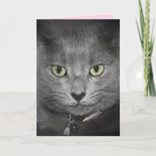 Birthday Gray Cat Spaß Karte