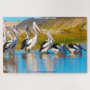 Birthday Greetings Australian Pelicans Puzzle