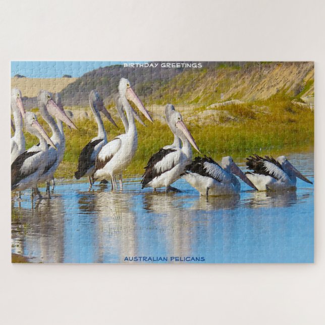 Birthday Greetings Australian Pelicans Puzzle (Horizontal)