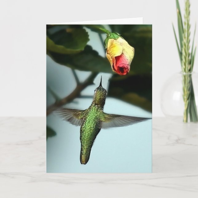 Birthday Greetings Hummingbird Karte (Vorderseite)