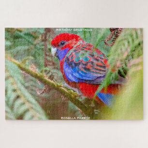 Birthday Greetings Rosella Parrot Puzzle