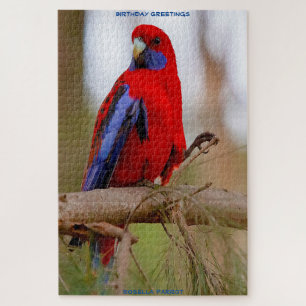 Birthday Greetings Rosella Parrot Puzzle