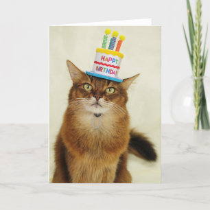 Birthday Hat Somali Cat Feiertagskarte