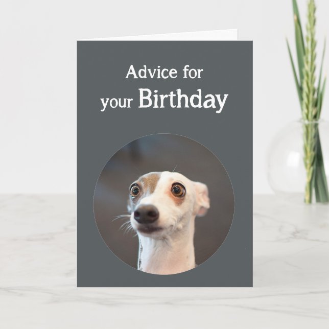 Birthday Humor Cute Dog Too Much Coffee Humor Karte (Vorderseite)