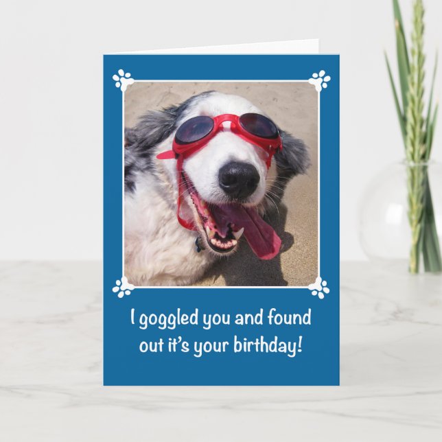 Birthday - I Goggled You - Australian Shepherd Dog Karte (Vorderseite)