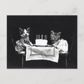 Birthday Kittens Postkarte