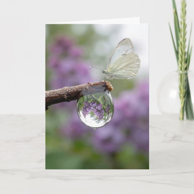Birthday Lilacs Reflecting in a Raindrop  Karte (Vorderseite)