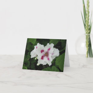 Birthday - Magenta-small Karte
