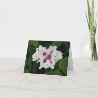 Birthday - Magenta-small Karte