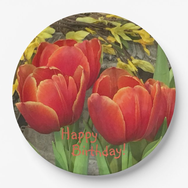 Birthday Orange Red Tulips Pappteller (Vorderseite)