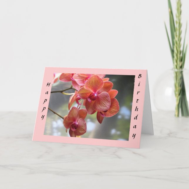 Birthday Orchids Karte (Vorderseite)