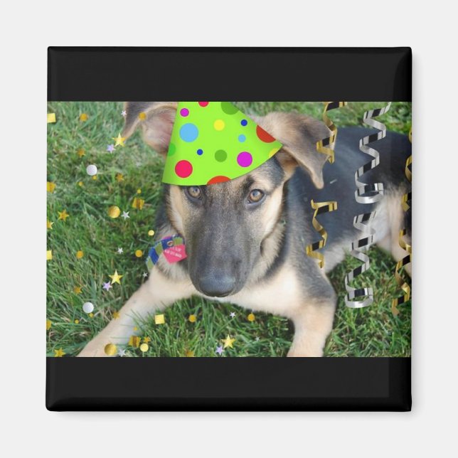 Birthday Party Animal German Shepherd Magnet (Vorne)