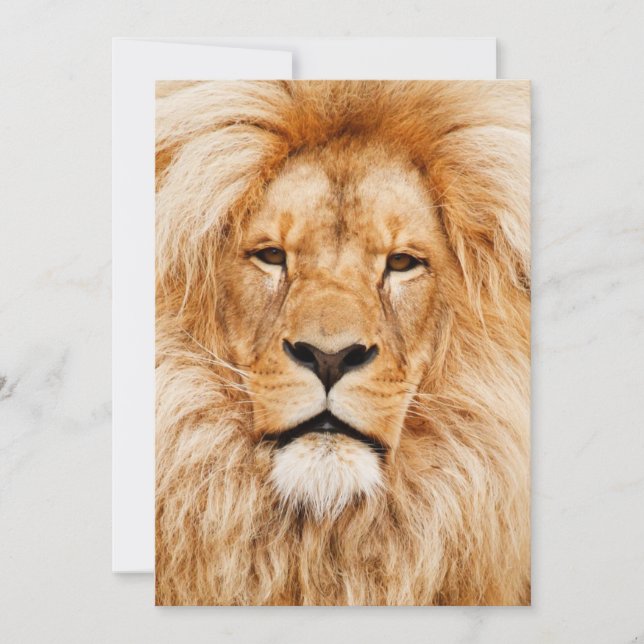 Birthday Party Einladung (Vorderseite)