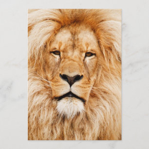 Birthday Party Einladung