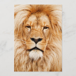 Birthday Party Einladung