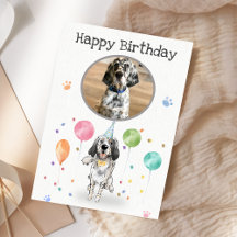 Birthday Party English Setter Hund Tierkarte