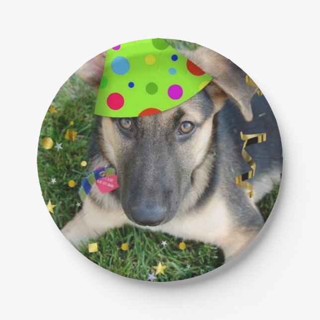 Birthday Party German Shepherd Pappteller (Vorderseite)