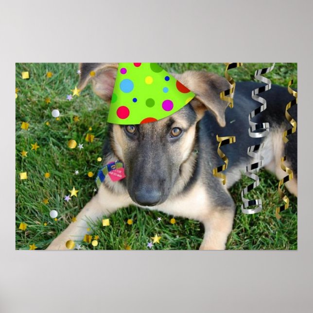 Birthday Party German Shepherd Poster (Vorne)