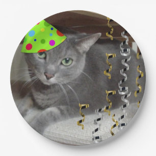 Birthday Party Russische Blaue Katze Pappteller