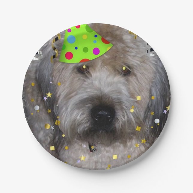 Birthday Party Wheaten Terrier Pappteller (Vorderseite)