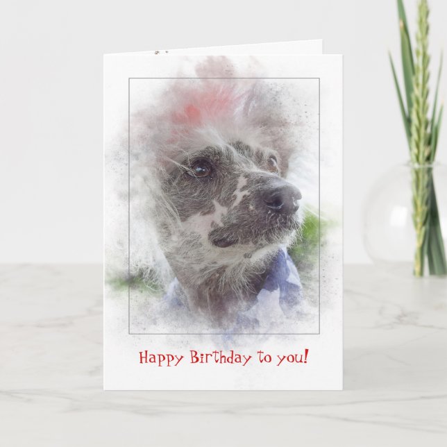 Birthday-Patriotic Chinese Crested Hairless dog Karte (Vorderseite)