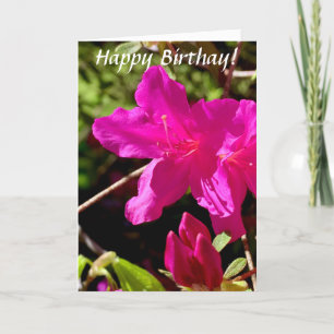 Birthday Pink Azalea Karte
