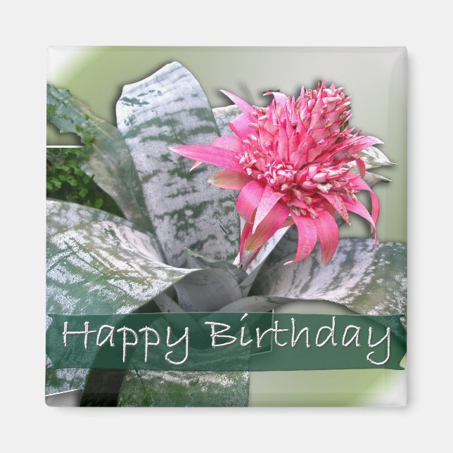 Birthday Pink Bromeliad Magnet (Vorne)