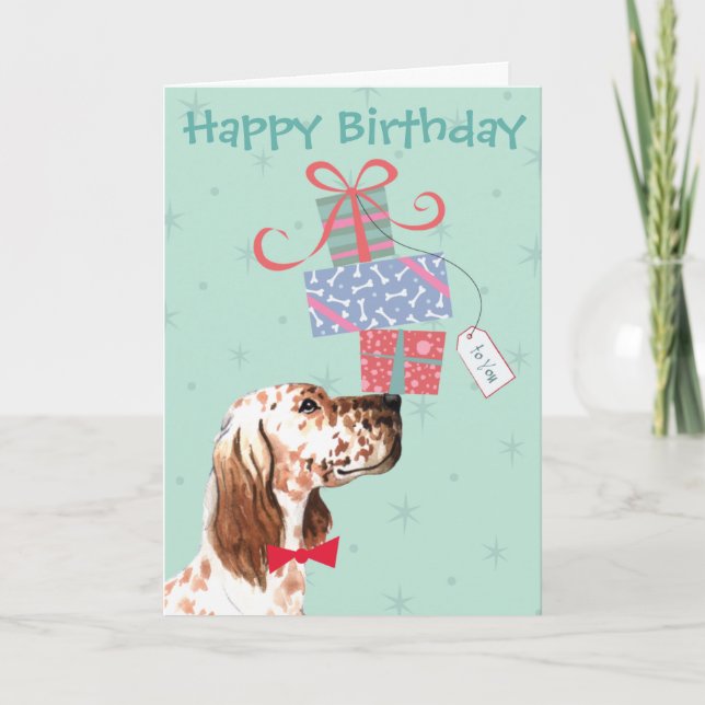 Birthday präsentiert English Setter Card Karte (Vorderseite)