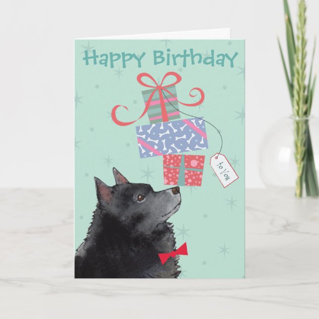 Birthday Presents Schipperke Card Karte (Vorderseite)