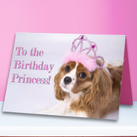 Birthday Princess Cavalier King Charles Card