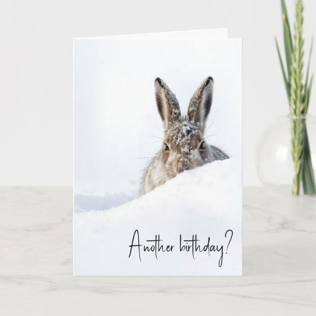 Birthday Rabbit Peeking Over a Snowdrift Karte (Vorderseite)