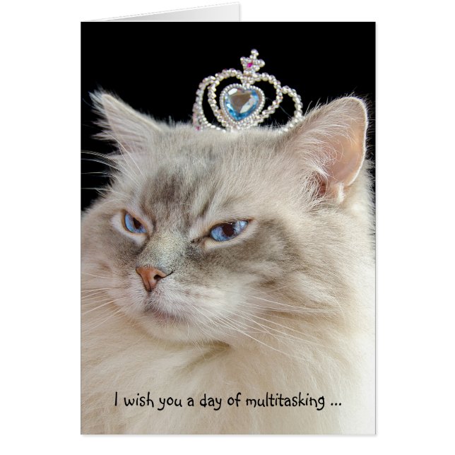 Birthday Ragdoll Cat with Crown (Vorne)