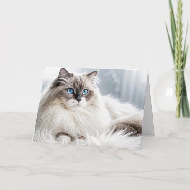 Birthday Ragdoll Chat On a Fur Rug Karte (Vorderseite)