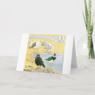 Birthday Seabird Jackdaw Lapwing Beach Nature Card Karte